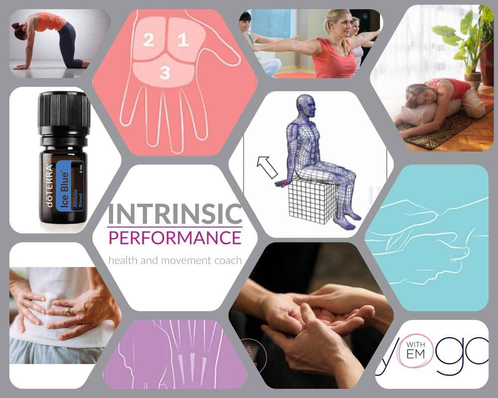 intrinsic performance (1) intrinsic performance (1)